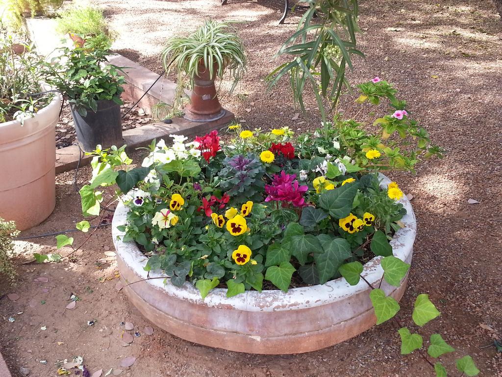 Sam Hughes Inn B&B Tucson Dış mekan fotoğraf
