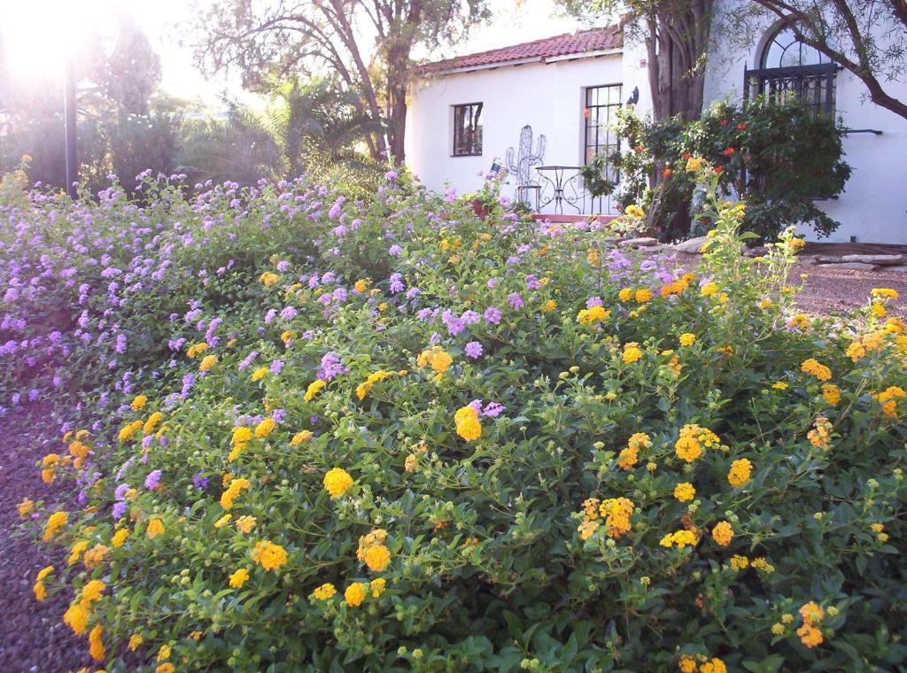 Sam Hughes Inn B&B Tucson Dış mekan fotoğraf