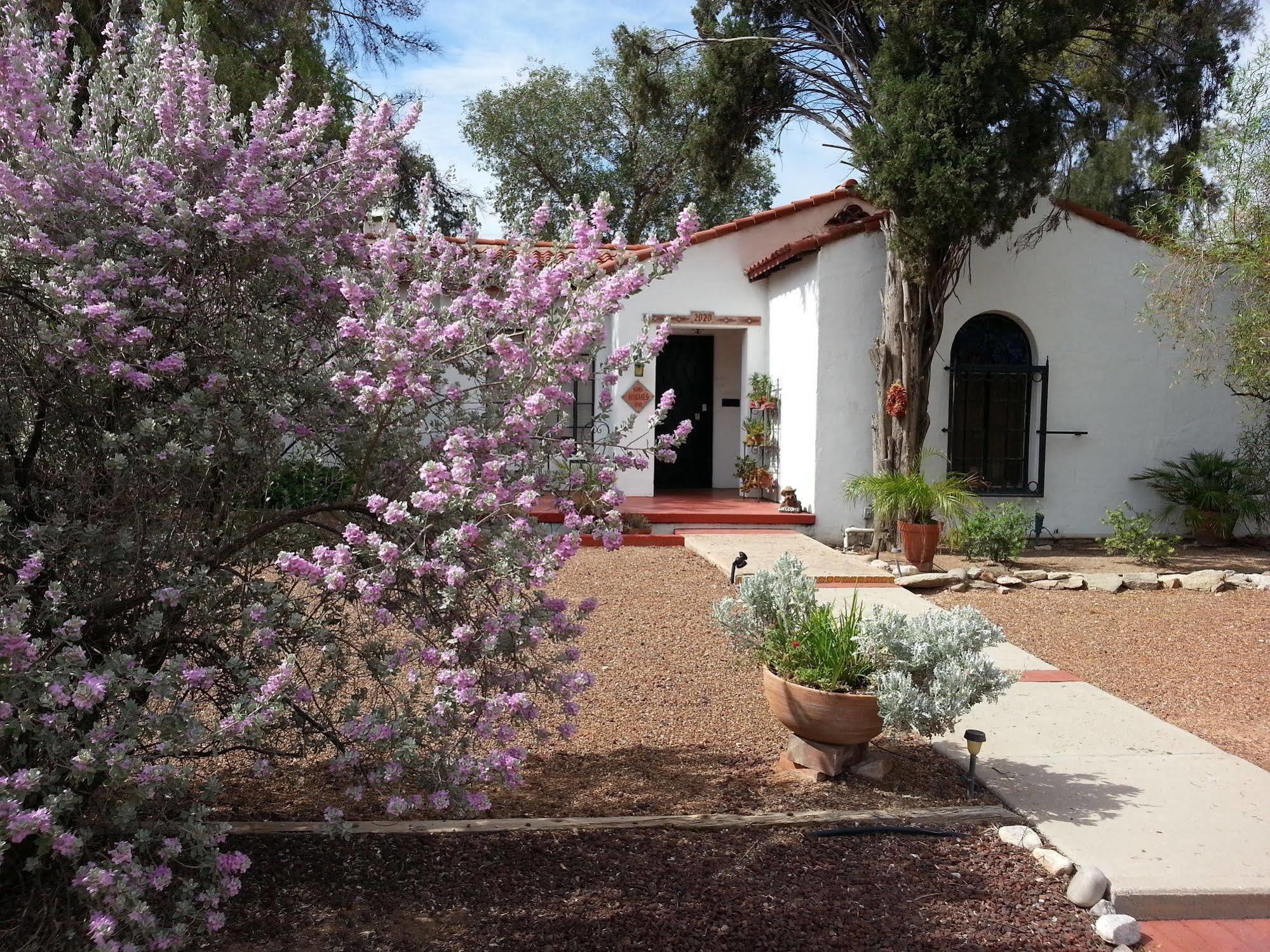 Sam Hughes Inn B&B Tucson Dış mekan fotoğraf